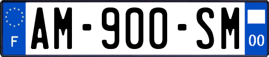AM-900-SM