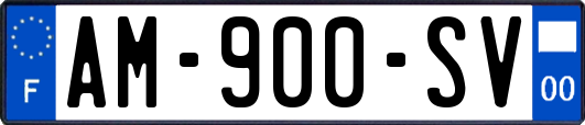 AM-900-SV