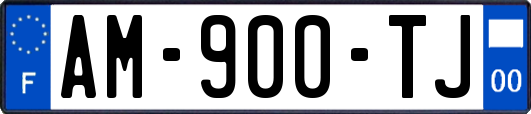 AM-900-TJ