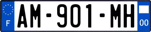 AM-901-MH
