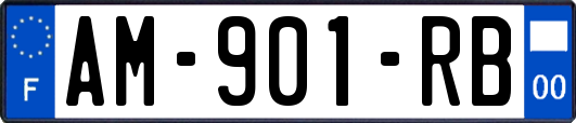 AM-901-RB
