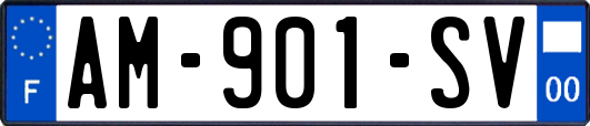 AM-901-SV