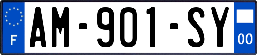 AM-901-SY