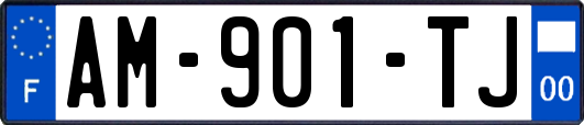 AM-901-TJ