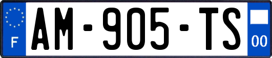 AM-905-TS