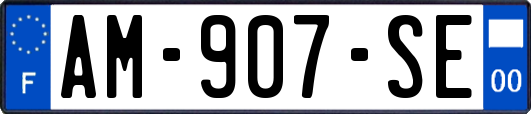 AM-907-SE