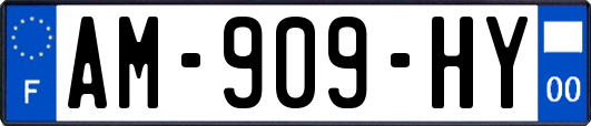 AM-909-HY