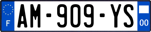 AM-909-YS