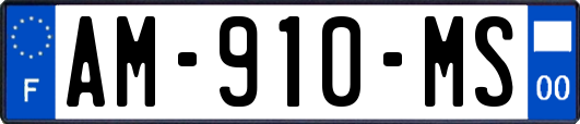 AM-910-MS
