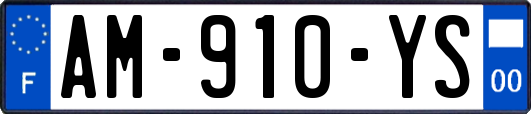 AM-910-YS