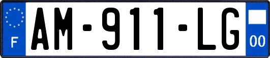 AM-911-LG