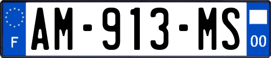 AM-913-MS
