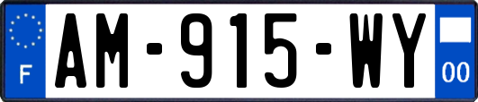 AM-915-WY