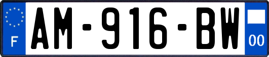 AM-916-BW