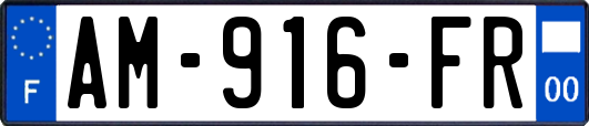 AM-916-FR