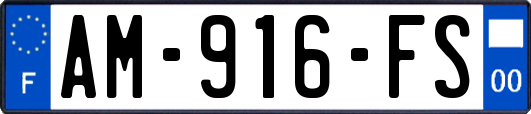 AM-916-FS
