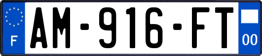 AM-916-FT