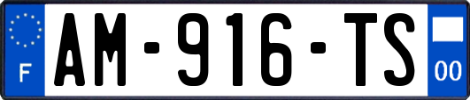 AM-916-TS