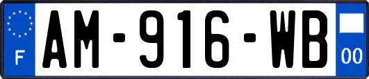 AM-916-WB