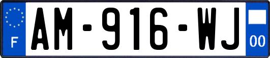 AM-916-WJ