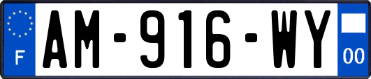 AM-916-WY