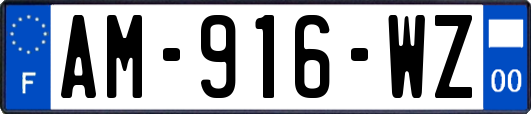 AM-916-WZ