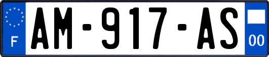 AM-917-AS