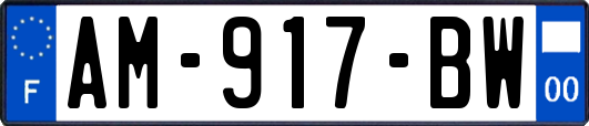 AM-917-BW