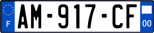 AM-917-CF