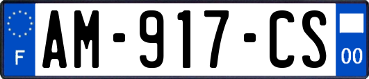 AM-917-CS