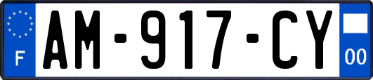 AM-917-CY