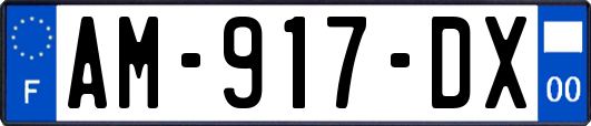 AM-917-DX
