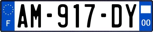 AM-917-DY