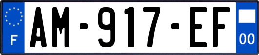 AM-917-EF