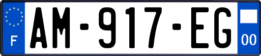 AM-917-EG