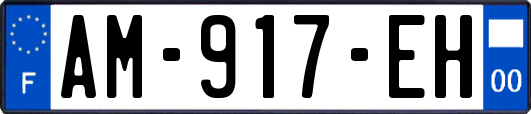 AM-917-EH