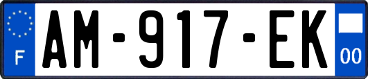 AM-917-EK