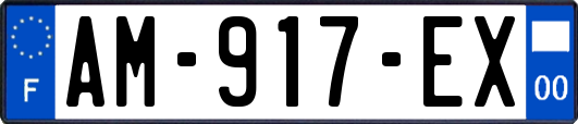 AM-917-EX