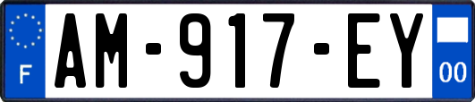 AM-917-EY