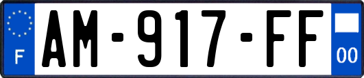 AM-917-FF