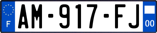 AM-917-FJ
