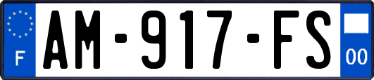 AM-917-FS