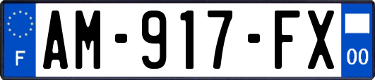 AM-917-FX