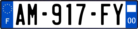 AM-917-FY