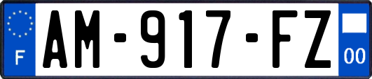 AM-917-FZ