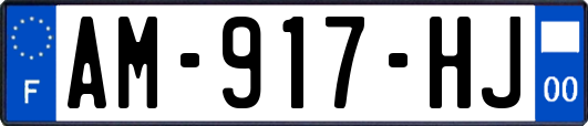 AM-917-HJ