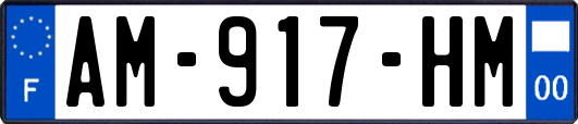AM-917-HM