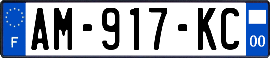 AM-917-KC
