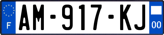 AM-917-KJ