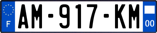 AM-917-KM